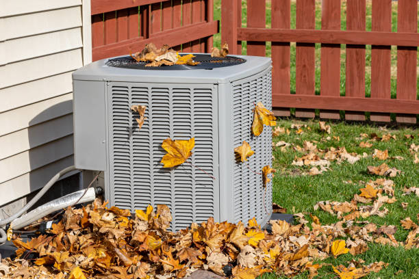 Best HVAC tune-up services  in Buckley, WA